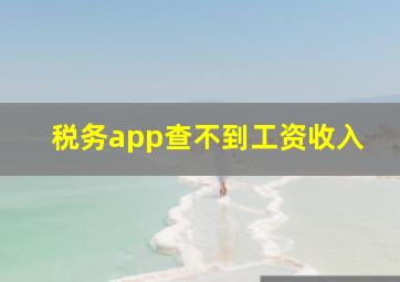 税务app查不到工资收入