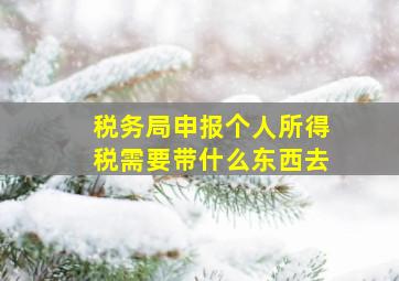 税务局申报个人所得税需要带什么东西去