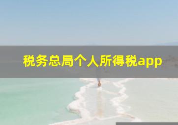 税务总局个人所得税app