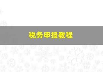 税务申报教程