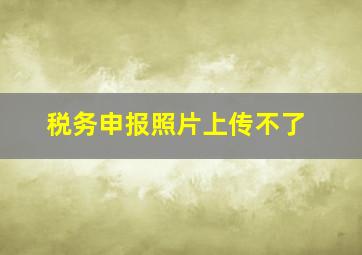 税务申报照片上传不了