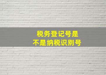 税务登记号是不是纳税识别号