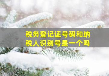 税务登记证号码和纳税人识别号是一个吗