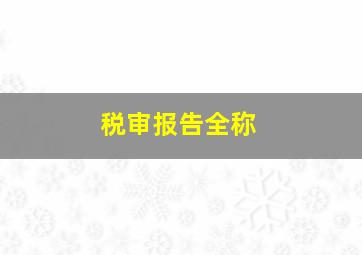 税审报告全称