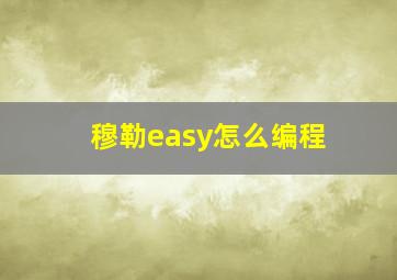 穆勒easy怎么编程