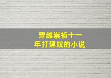 穿越崇祯十一年打建奴的小说