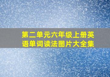 第二单元六年级上册英语单词读法图片大全集