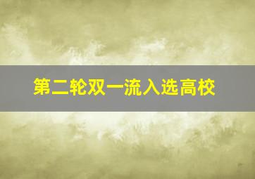 第二轮双一流入选高校