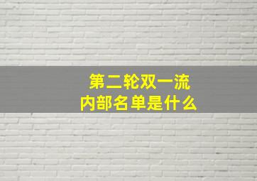 第二轮双一流内部名单是什么