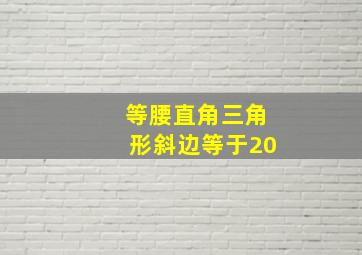 等腰直角三角形斜边等于20