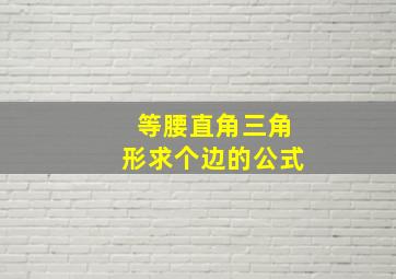 等腰直角三角形求个边的公式