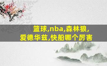 篮球,nba,森林狼,爱德华兹,快船哪个厉害