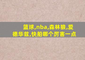 篮球,nba,森林狼,爱德华兹,快船哪个厉害一点