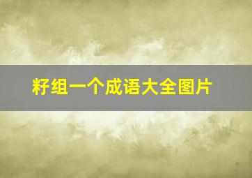 籽组一个成语大全图片