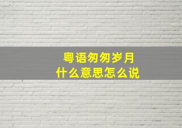 粤语匆匆岁月什么意思怎么说