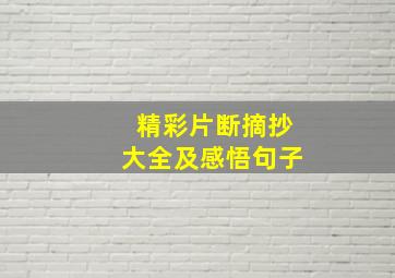 精彩片断摘抄大全及感悟句子