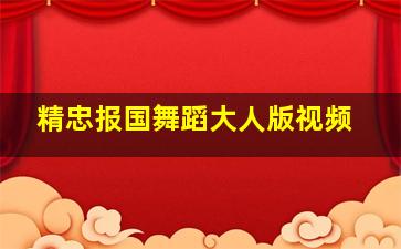 精忠报国舞蹈大人版视频