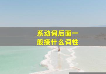 系动词后面一般接什么词性