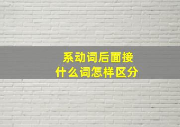 系动词后面接什么词怎样区分