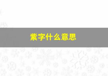 紫字什么意思