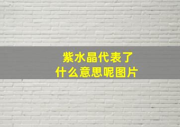 紫水晶代表了什么意思呢图片