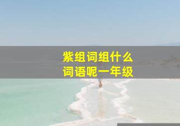 紫组词组什么词语呢一年级