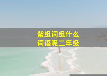 紫组词组什么词语呢二年级