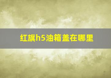 红旗h5油箱盖在哪里