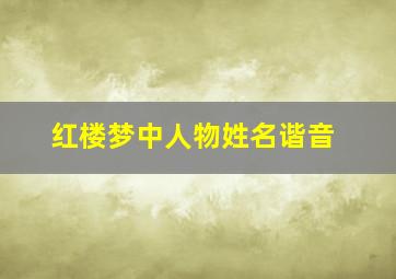 红楼梦中人物姓名谐音