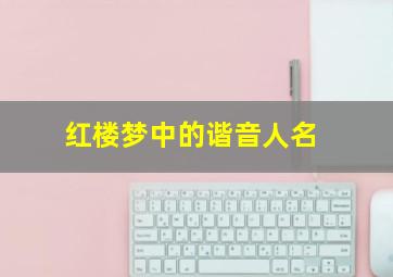 红楼梦中的谐音人名