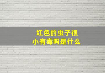 红色的虫子很小有毒吗是什么