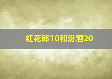 红花郎10和汾酒20