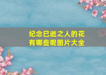 纪念已逝之人的花有哪些呢图片大全