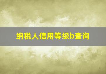 纳税人信用等级b查询