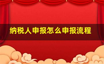 纳税人申报怎么申报流程