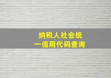 纳税人社会统一信用代码查询