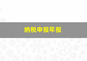 纳税申报年报