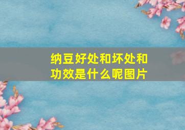 纳豆好处和坏处和功效是什么呢图片