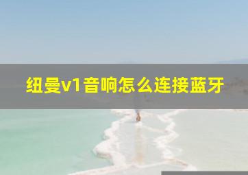 纽曼v1音响怎么连接蓝牙