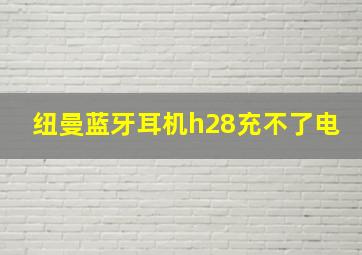 纽曼蓝牙耳机h28充不了电