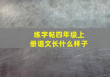 练字帖四年级上册语文长什么样子