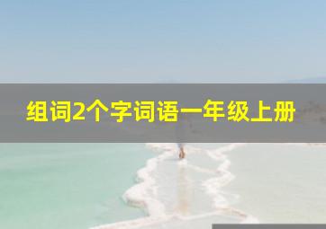 组词2个字词语一年级上册