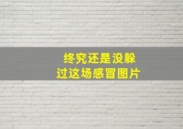 终究还是没躲过这场感冒图片