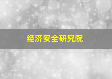 经济安全研究院