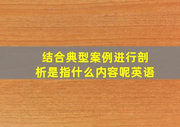 结合典型案例进行剖析是指什么内容呢英语