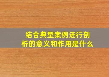 结合典型案例进行剖析的意义和作用是什么