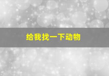 给我找一下动物