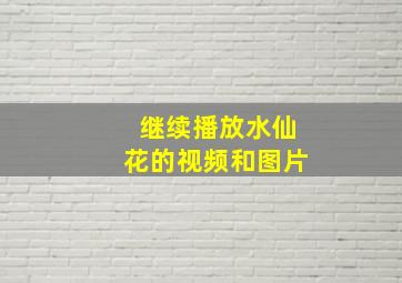 继续播放水仙花的视频和图片