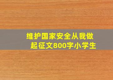 维护国家安全从我做起征文800字小学生