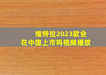 维特拉2023款会在中国上市吗视频播放